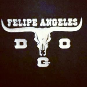 Meet your Posher, Luis